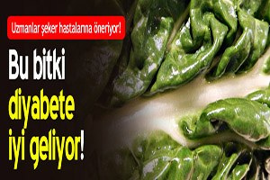 Bu Sebze Diyabete İyi Geliyor!