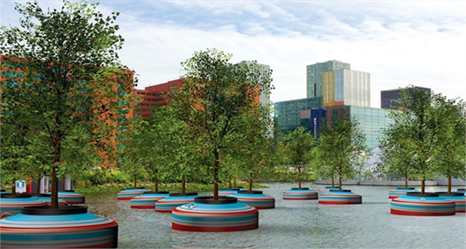 Yüzen Ormanlar Geliyor