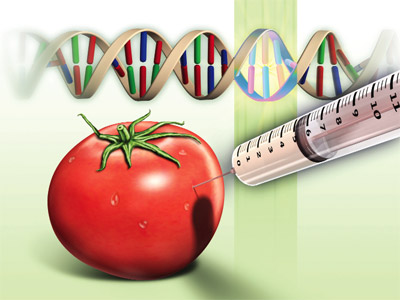 Venezuela`da GDO Yasaklanıyor