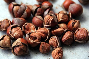 Türkiye`nin Fındık İhracatı 1 Milyar Doları Aştı