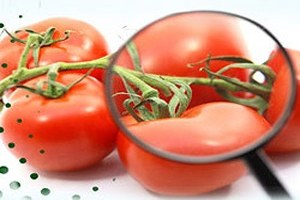 Belen`de Gıda Güvenliği Ve Hijyen Toplantısı