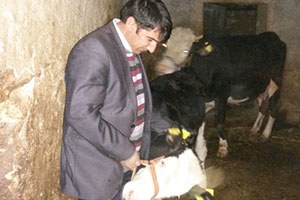 İlçe Tarım Müdürlüğünden Şap Aşısı