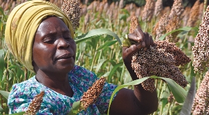 Afrika`da Tarım Sektörüne Genel Bir Bakış