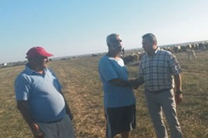 Küçükbaşta Büyük Proje