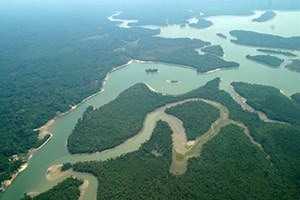 Rüzgar Tarlaları: Barajların Doğaya Olumsuz Etkileri