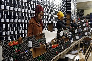 Sivri Biber, Patlıcan Ve Salatalığa Düşük Üretim Zammı Kapıda