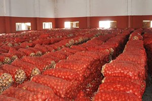 Soğan Fiyatlarını Yükseltmek İçin Spekülatif Hareketler Yapıyorlar