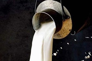 Bakan Çelik Sokaktan Alınan Sütlere Karşı Uyardı