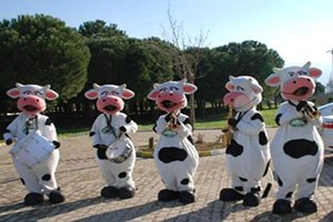 İzmir`de Üretilen Sütler, İzmir`de İşlenecek`