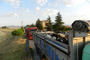 Yem İndirimi Fiyatlara Yansıdı