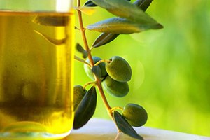 2014 Yılı Ürünü Zeytinyağı Fark Desteği Ödemeleri Başladı