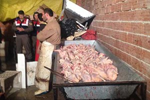 Bunları Halka Yedireceklerdi!..