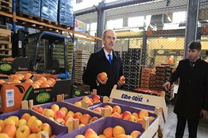 Çiftçi Büyükşehir ile Dünya Pazarlarına Açılacak