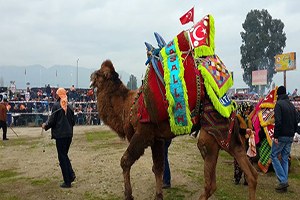 Devenin De Borsasını Kurdular