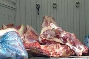 Kayseri`de 2 Ton Kaçak Et Yakalandı