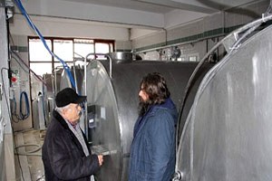 Hayvancılığın Gelişmesi Süte Bağlı