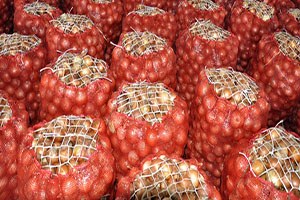 Kuru Soğanın Fiyatı Arttı