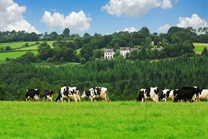 Seydişehir Belediyesi Organize Hayvancılık Çalışmalarını Başlattı