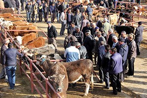 Açılan Hayvan Pazarı Yüzleri Güldürdü
