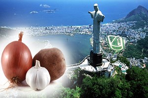 Brezilya`dan Tarım Ürünleri İthal Talebi