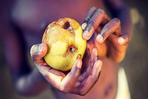 Gıdaya Erişimde Tehlike Çanları!