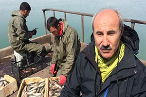 İnci Kefali Balığı Erçek Gölünde