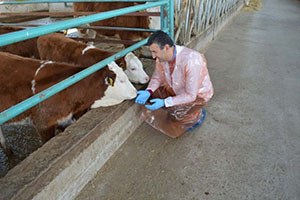 MAKÜ Gezici  Klinik, Yetiştiricilerin Hizmetinde