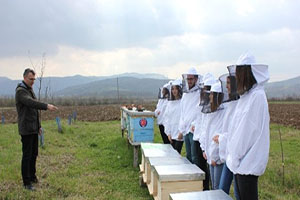 Tika`dan Bosna Hersek`te Arıcılığa Destek