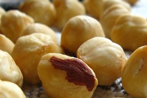 Türk fındığı Dubai`de Tanıtıldı