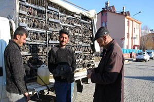 Varto`da Tavuk Satışları Başladı
