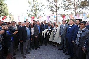 Yavuzeli`nde Koyun Besicilerine Süt Yemi Dağıtıldı