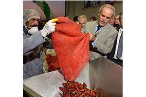 Besaştan Tüketiciye Kırmızı Toz Biber