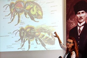 Çankaya`da Arıcılık Eğitimleri Başladı
