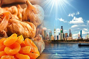 Kuru İncir Ve Kayısımıza Kuveyt`ten Talep Var