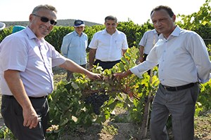 Valilikten  Kuru Üzümde Kalıntı Madde Açıklaması