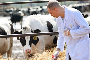 Veteriner Tıbbi Ürünlerinin Kullanım ve İhracatı