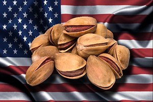 ABD`ye Antep Fıstığı Türkiye`den