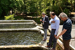 Canlı Balıkla Yemlenen Alabalık Hızlı Büyüdü