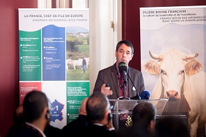 Türkiye Canlı Sığır İhracatında Fransa`nın Üçüncü Büyük Pazarı