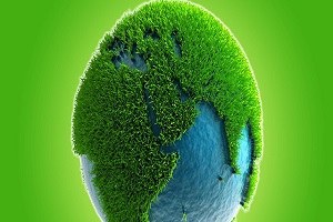 Dünyada Tespit Edilen Bitki Sayısı 390 Bin 900