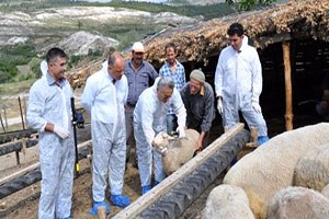 Hastalıklar Elektronik Küpeyle Takip Edilecek