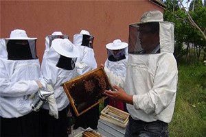 Kadın Çiftçilere Arıcılık Eğitimi