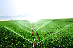 Proje Tamamlanma Tarihi 4 Ay Uzatıldı