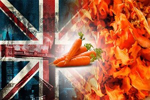 İngiltere`den Kurutulmuş Havuç Talebi