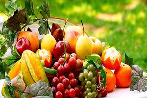 Türkiye`de GDO`lu Ürün Algısı Yanlış