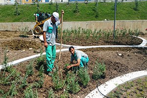 Aromatik Bahçede Sona Gelindi