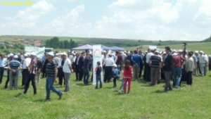 Sıcaktan Etkilenen Hayvanlar İçin Gölgelik