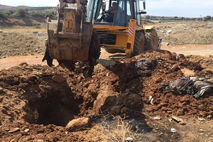İzmir`de Toplu Hayvan Katliamı İddiası