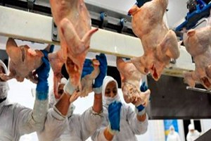 Kanatlıda İhracat Sancısı