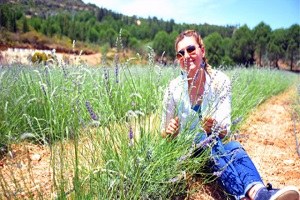 Seferihisar Lavanta Şenliğine Hazırlanıyor